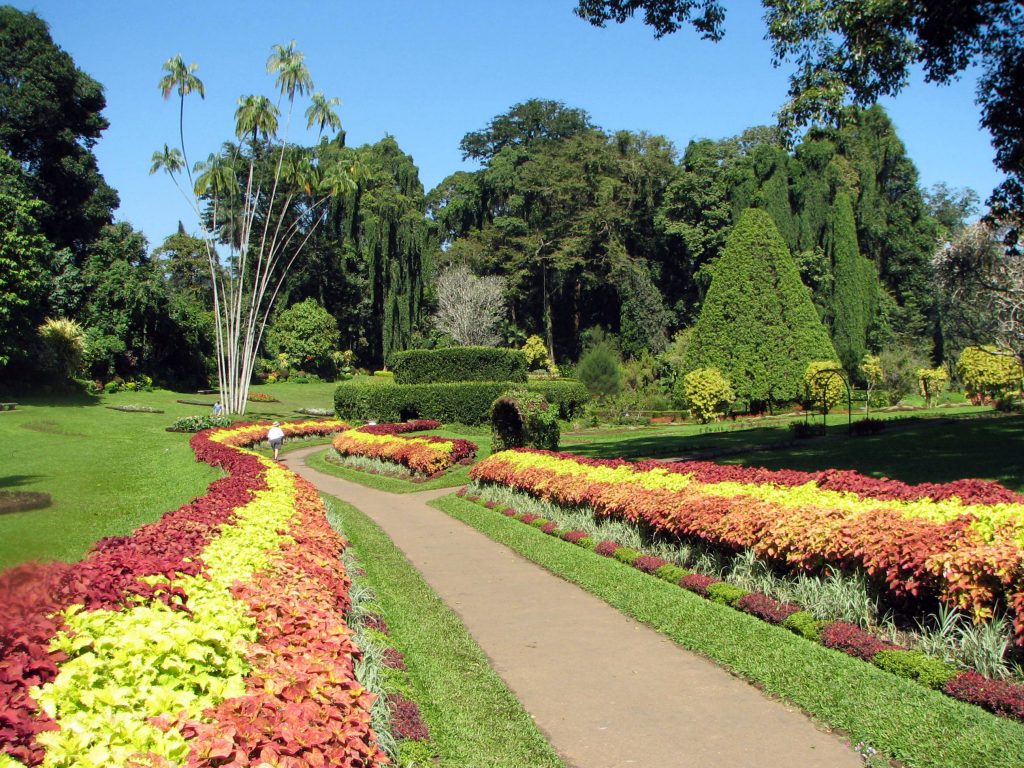 tour packages for royal botanical gardens peradeniya from chennai